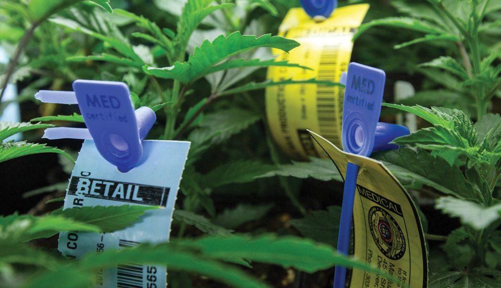 Agricultural Tags